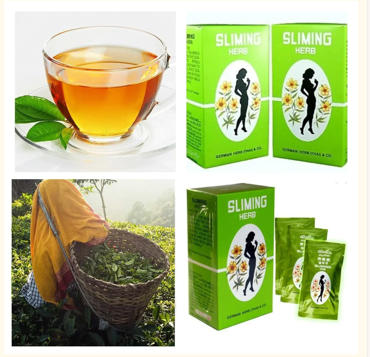 Sliming Herb – Herbal Slimming Support Formula by German Herb (Thai) & Co.
