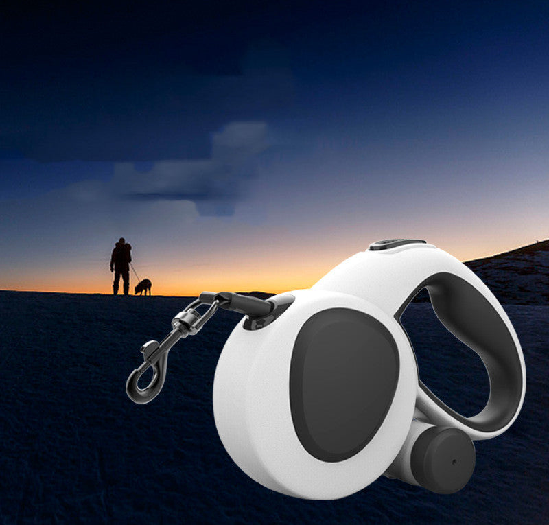 Indigo Light Dog Leash Nylon Webbing