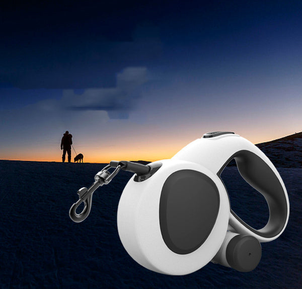 Indigo Light Dog Leash Nylon Webbing